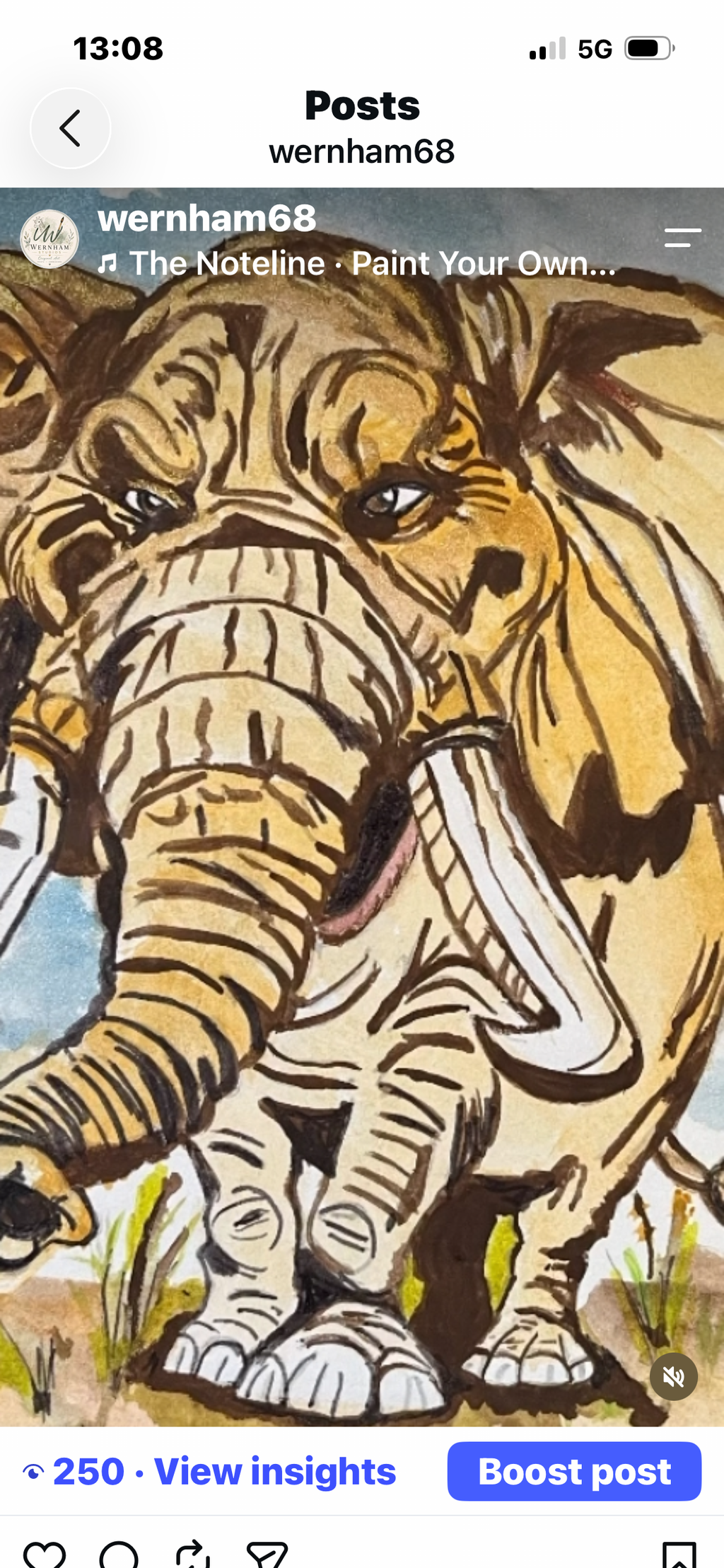 Elephant fields