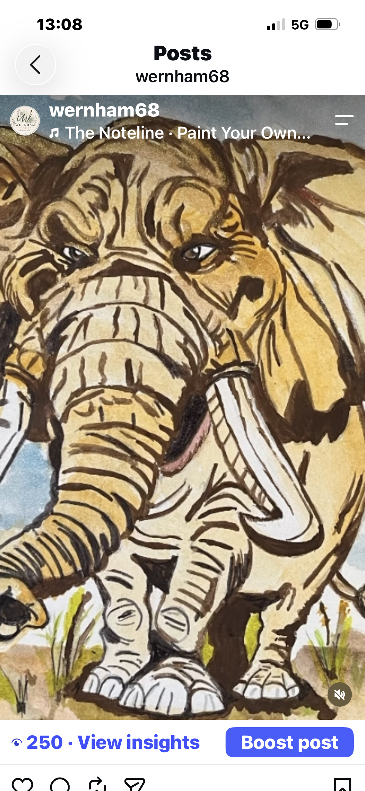 Elephant fields
