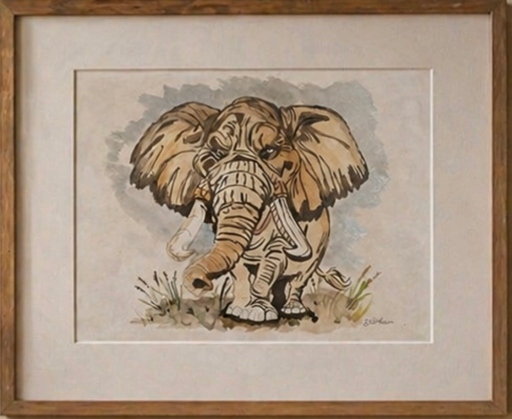 Elephant field