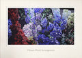 Floral Design