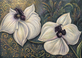 Piece Lily’s