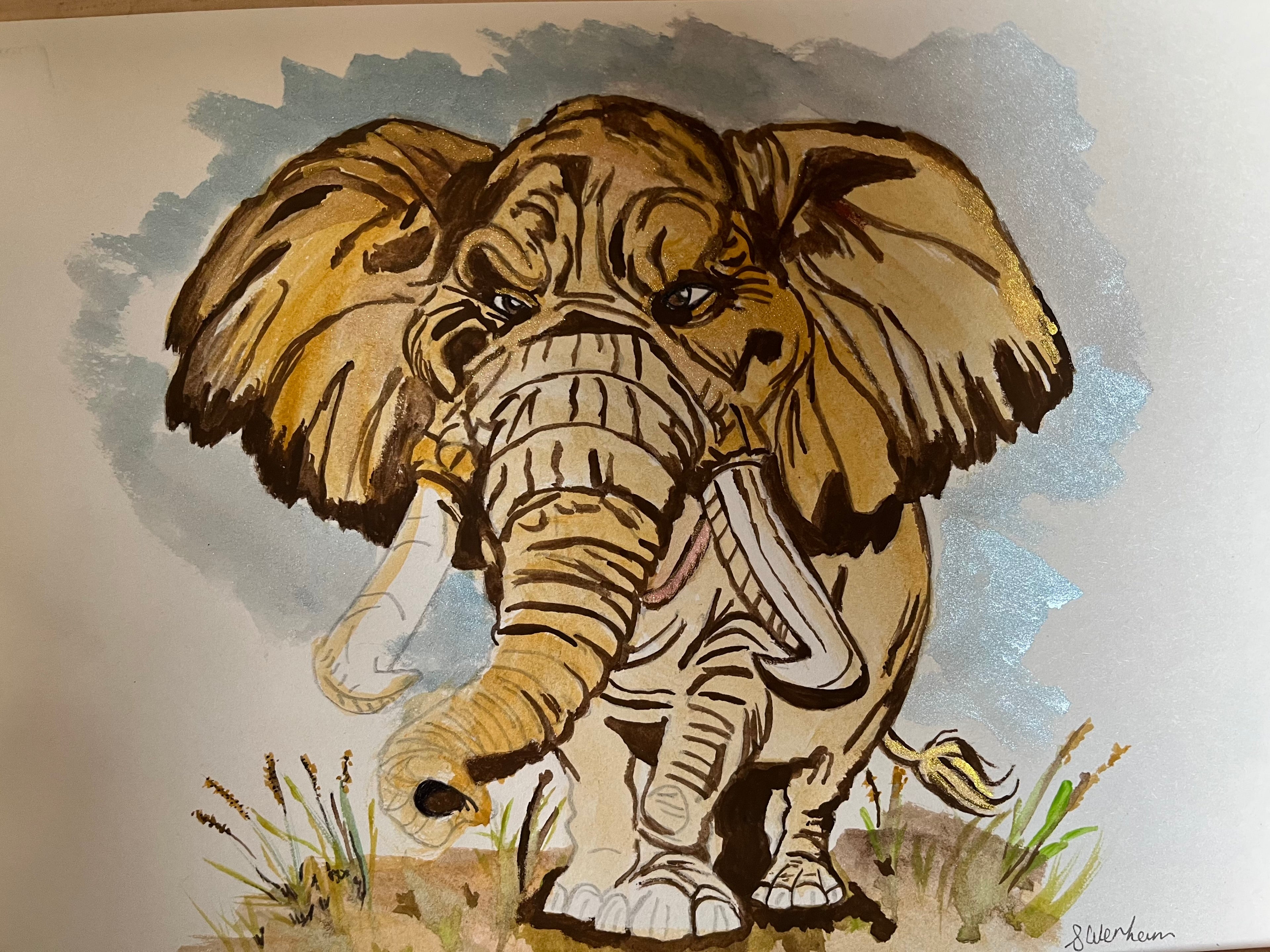 Elephant fields