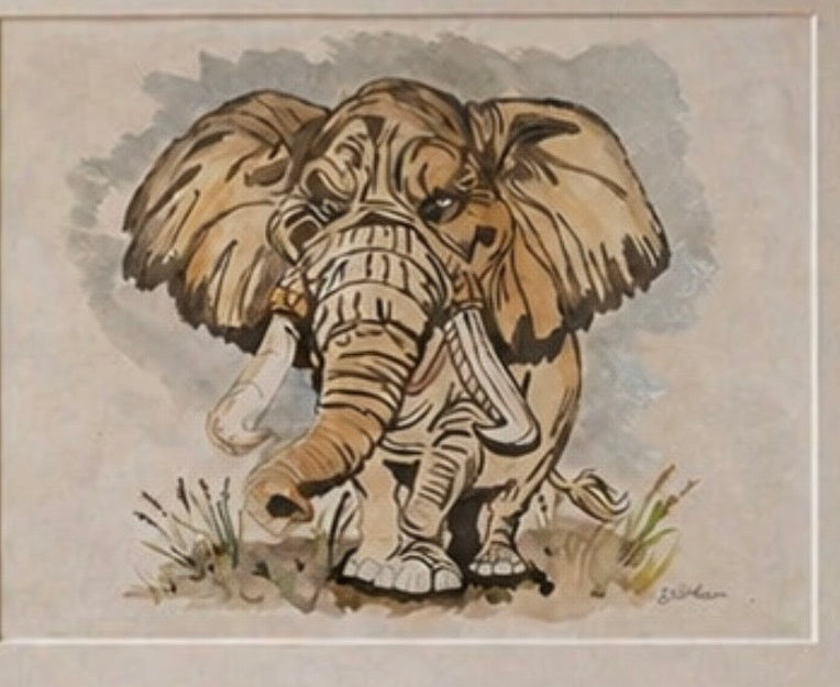 Elephant field