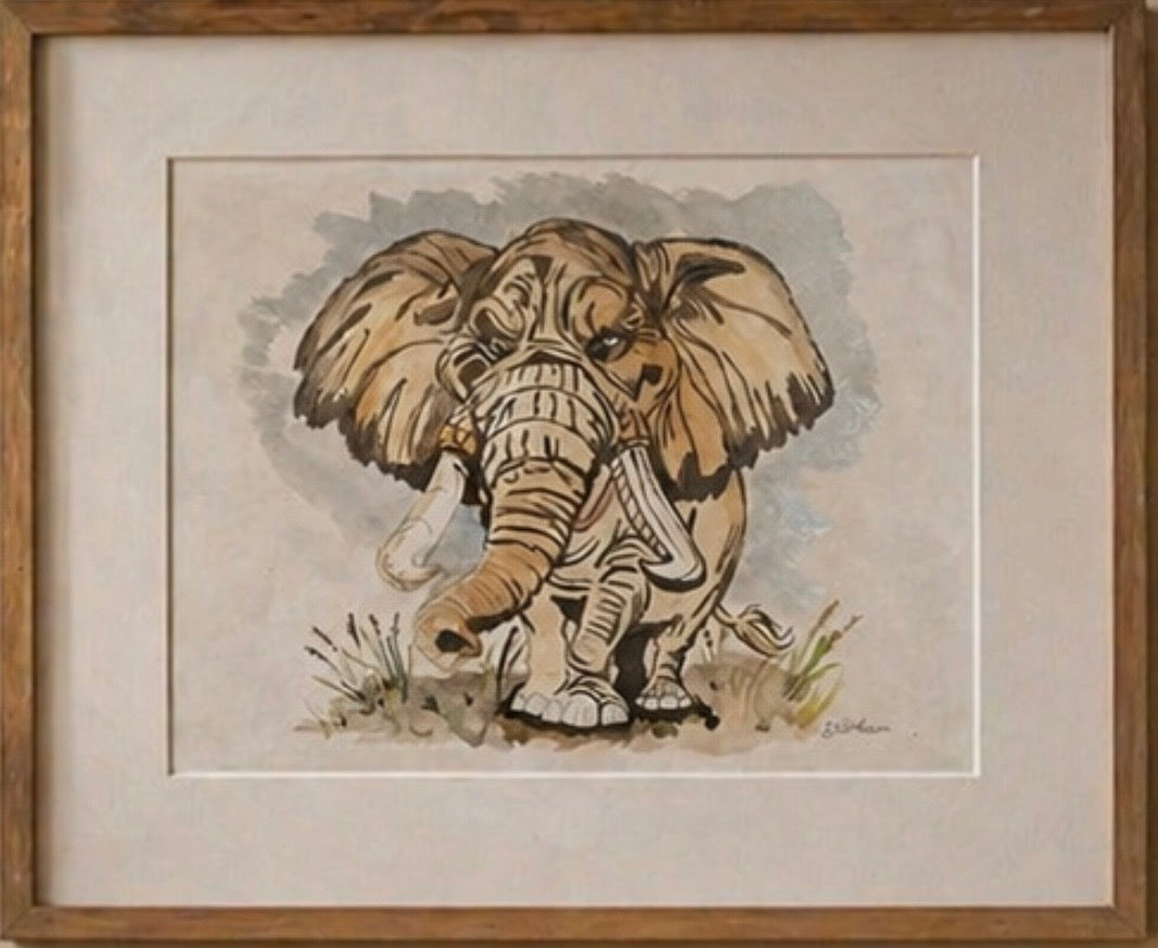 Elephant fields