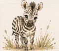 Little Zebra