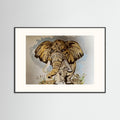 Elephant fields