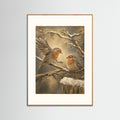 Robins nest