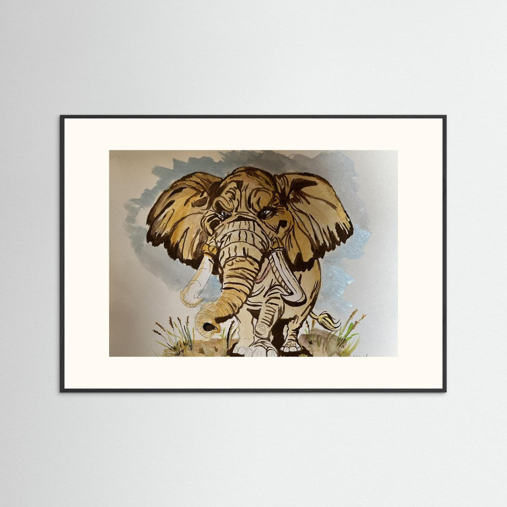 Elephant fields